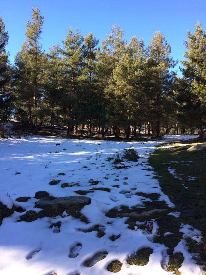 Apartamento Le Jardin De Font Romeu Exterior foto